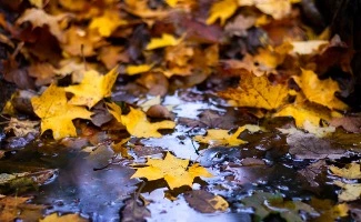 Noticia de Noticias sobre Comunidades de Vecinos